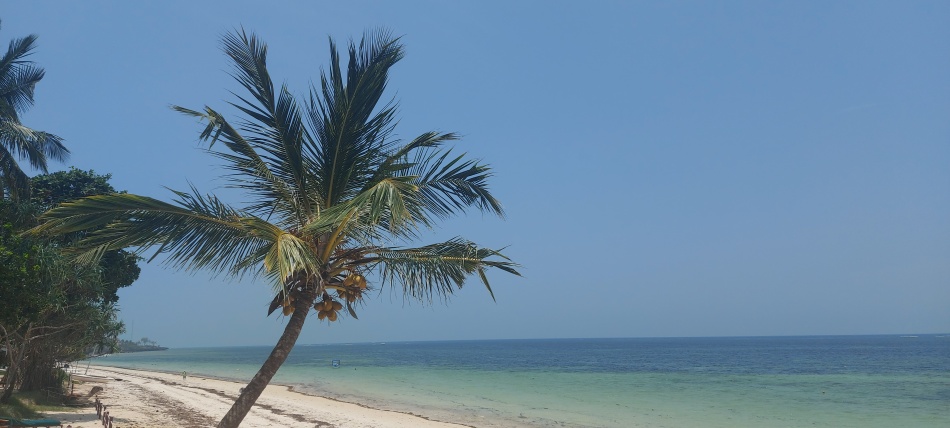 Mombasa - Serena Hotel / Shanzu Beach - Kenya North Coast