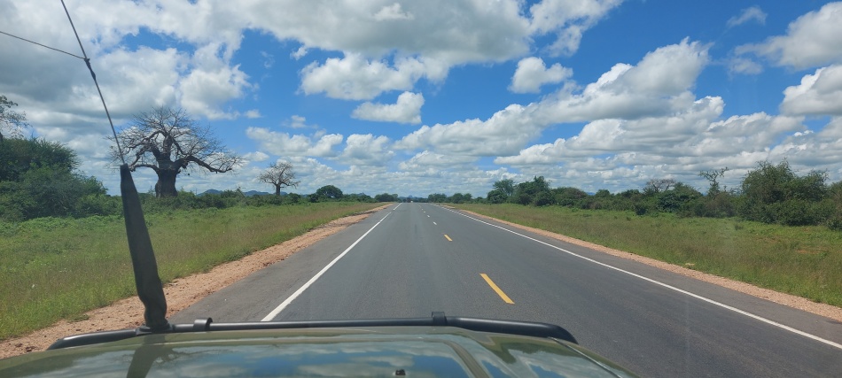 Unterwegs im Tsavo Gebiet. Es ist saftig gr&uuml;n 