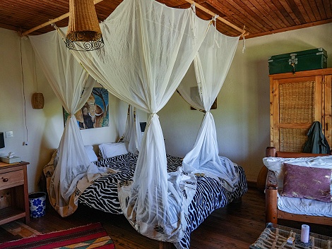 Sandai Farm - Kenya Hochland
