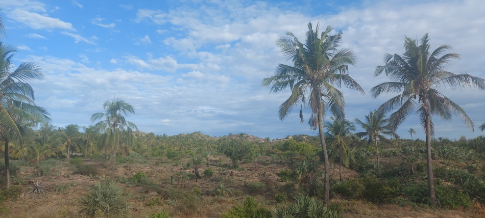 She Chale - Malindi, Kenya North Coast