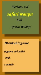 Werbefläche zu vermieten